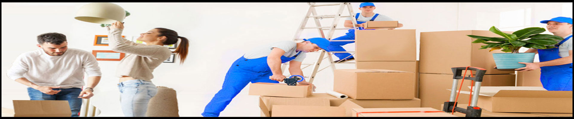 Packers And Movers Noida Sector 5